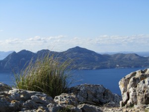 IMG_0164 (Medium)